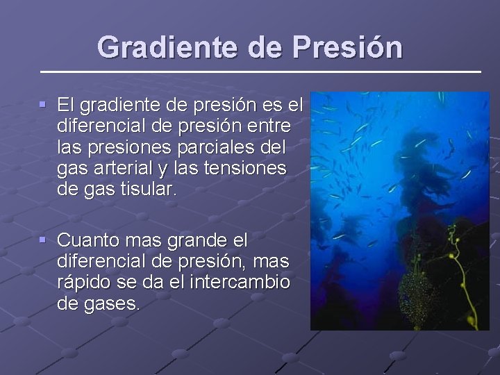 Gradiente de Presión § El gradiente de presión es el diferencial de presión entre
