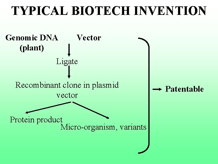 TYPICAL BIOTECH INVENTION Genomic DNA (plant) Vector Ligate Recombinant clone in plasmid vector Protein