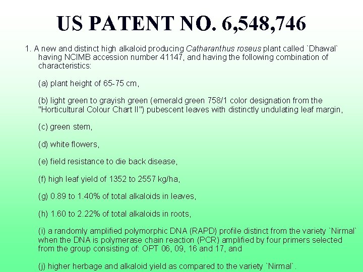 US PATENT NO. 6, 548, 746 1. A new and distinct high alkaloid producing