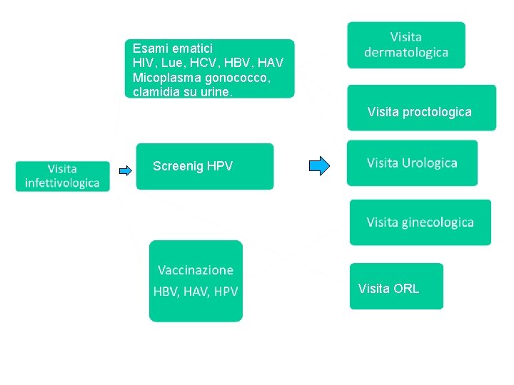 Esami ematici HIV, Lue, HCV, HBV, HAV Micoplasma gonococco, clamidia su urine. Visita proctologica