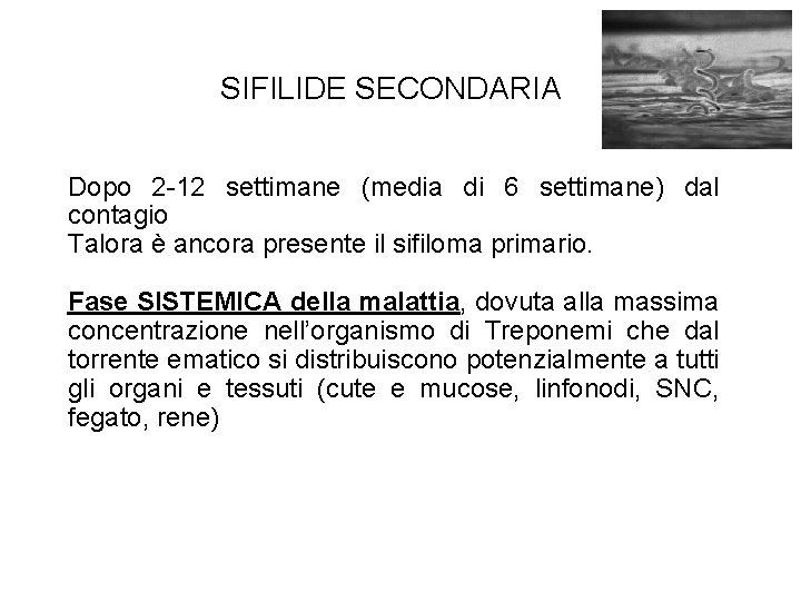 SIFILIDE SECONDARIA Dopo 2 -12 settimane (media di 6 settimane) dal contagio Talora è