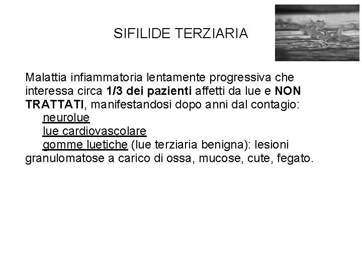 SIFILIDE TERZIARIA Malattia infiammatoria lentamente progressiva che interessa circa 1/3 dei pazienti affetti da