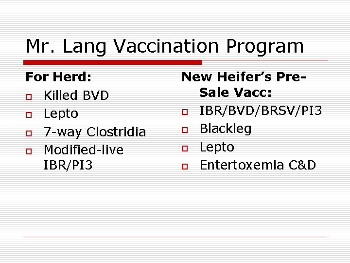 Mr. Lang Vaccination Program For Herd: o Killed BVD o Lepto o 7 -way