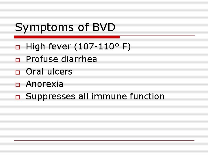 Symptoms of BVD o o o High fever (107 -110° F) Profuse diarrhea Oral