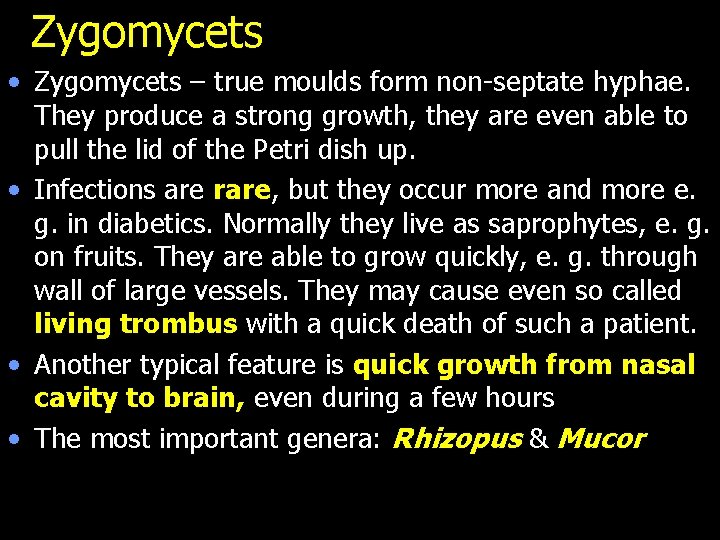 Zygomycets • Zygomycets – true moulds form non-septate hyphae. They produce a strong growth,