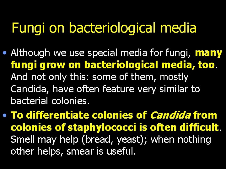 Fungi on bacteriological media • Although we use special media for fungi, many fungi
