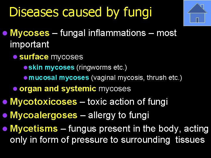 Diseases caused by fungi l Mycoses – fungal inflammations – most important l surface