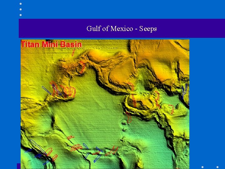 Gulf of Mexico - Seeps 