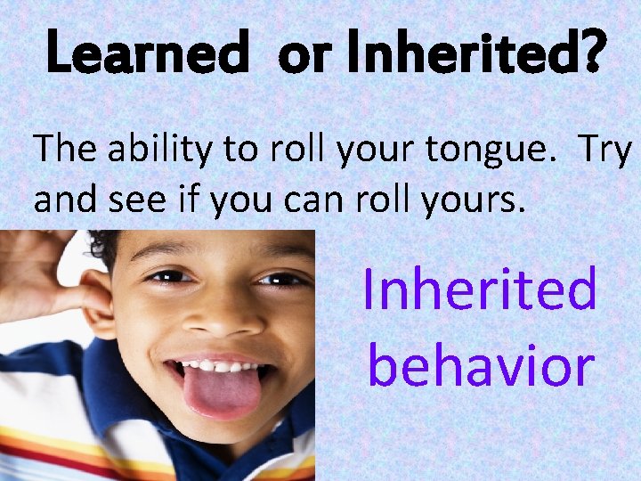 Learned or Inherited? The ability to roll your tongue. Try and see if you