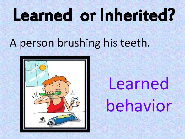 Learned or Inherited? A person brushing his teeth. Learned behavior 