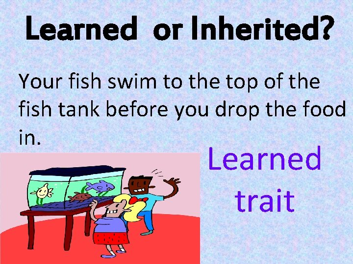 Learned or Inherited? Your fish swim to the top of the fish tank before