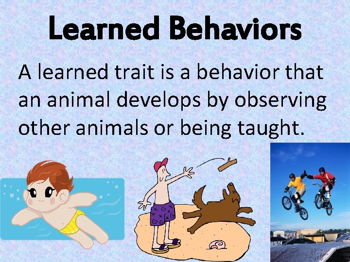 Inherited Learned Behaviors Mrs Serenas Favorite Things Adapted