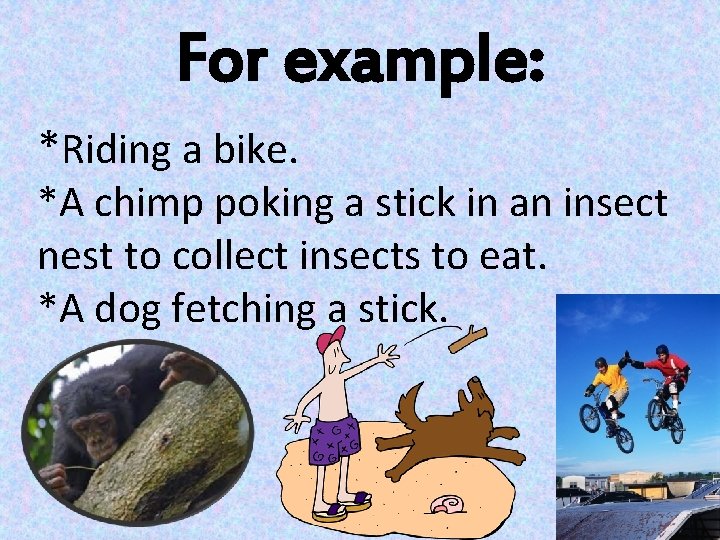 For example: *Riding a bike. *A chimp poking a stick in an insect nest