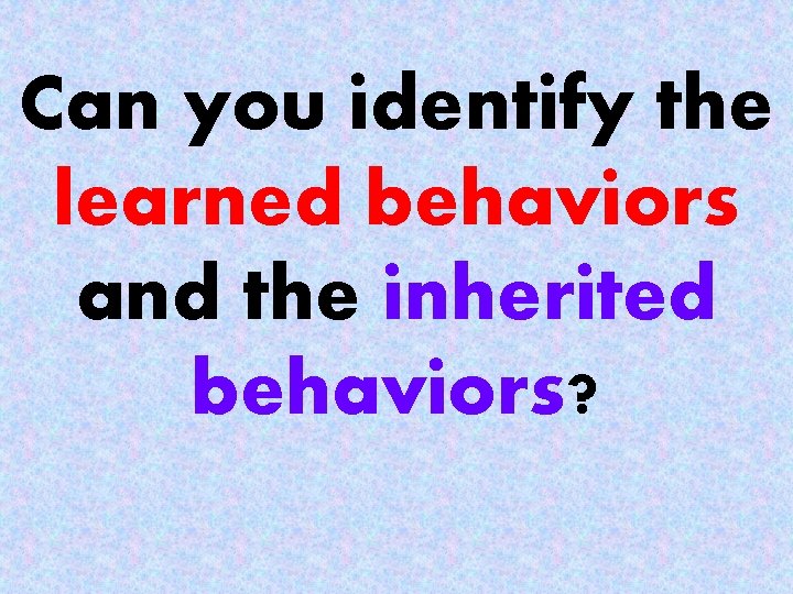 Can you identify the learned behaviors and the inherited behaviors? 