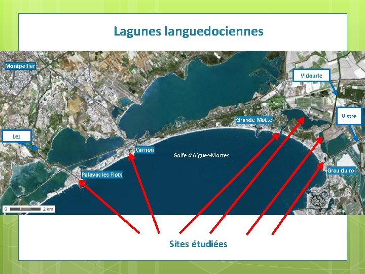 Lagunes languedociennes Montpellier Vidourle Grande Motte Vistre Lez Carnon Golfe d’Aigues-Mortes Grau du roi