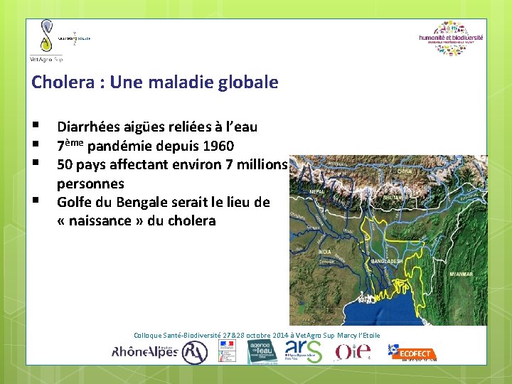 Cholera : Une maladie globale § § Diarrhées aigües reliées à l’eau 7ème pandémie