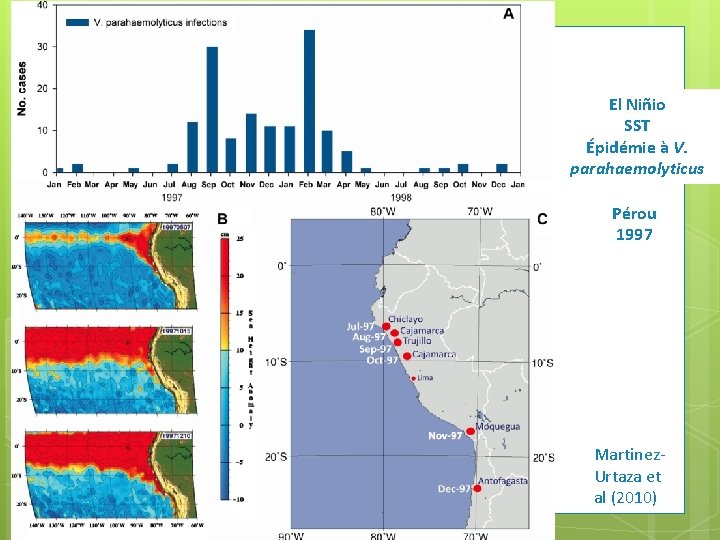 El Niñio SST Épidémie à V. parahaemolyticus Pérou 1997 Martinez. Urtaza et al (2010)