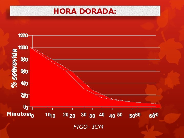 HORA DORADA: Minutos FIGO- ICM 
