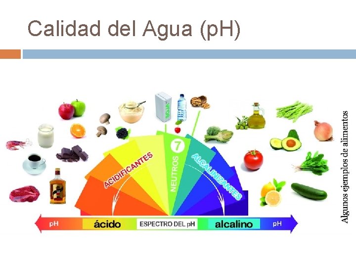 Calidad del Agua (p. H) 