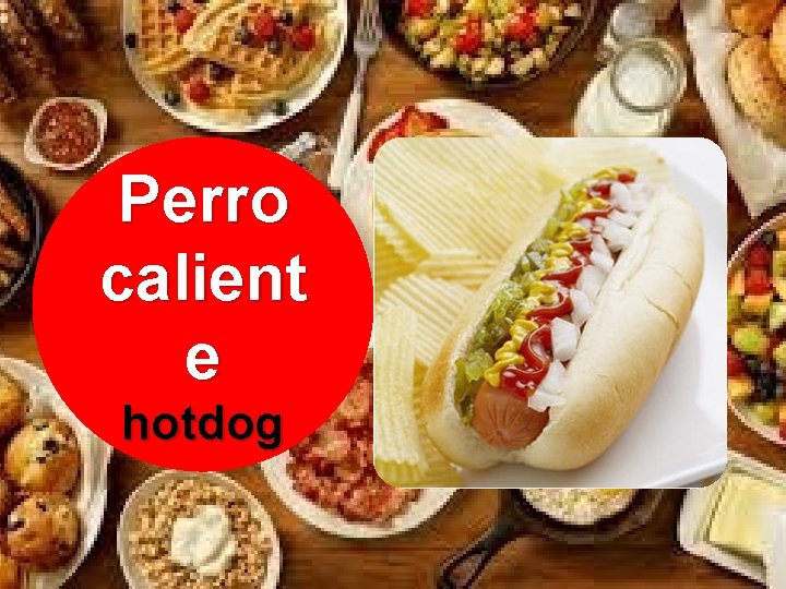 Perro calient e hotdog 