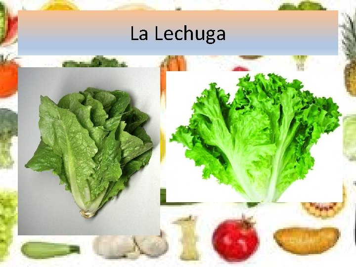 La Lechuga 