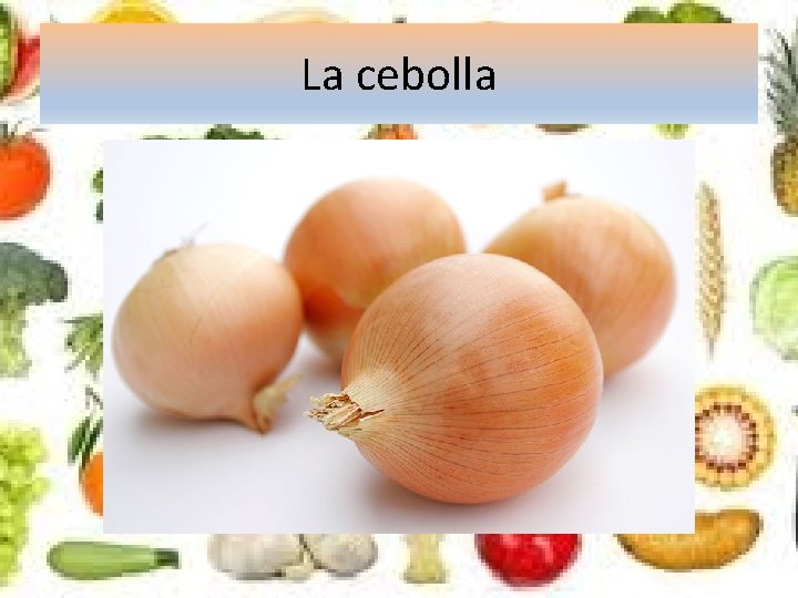 La cebolla 