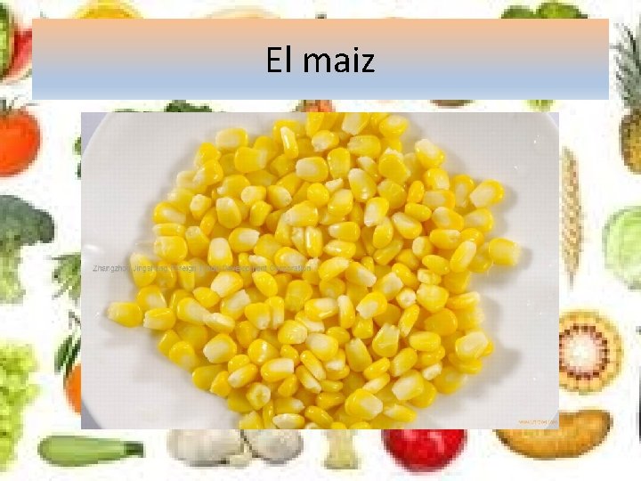 El maiz 