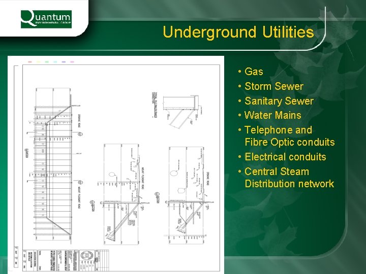 Underground Utilities • Gas • Storm Sewer • Sanitary Sewer • Water Mains •