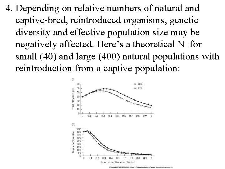 4. Depending on relative numbers of natural and captive-bred, reintroduced organisms, genetic diversity and