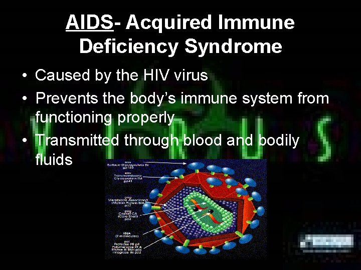 AIDS- Acquired Immune Deficiency Syndrome • Caused by the HIV virus • Prevents the