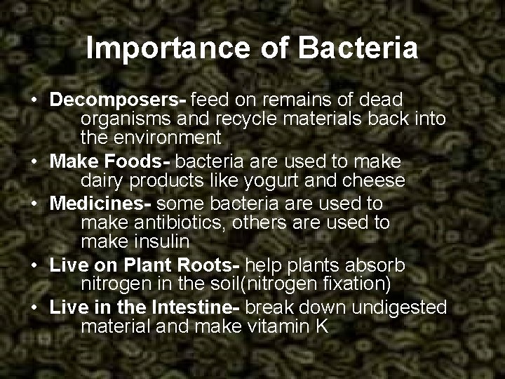 Importance of Bacteria • Decomposers- feed on remains of dead organisms and recycle materials