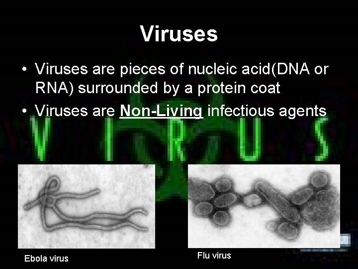 Viruses • Viruses are pieces of nucleic acid(DNA or RNA) surrounded by a protein