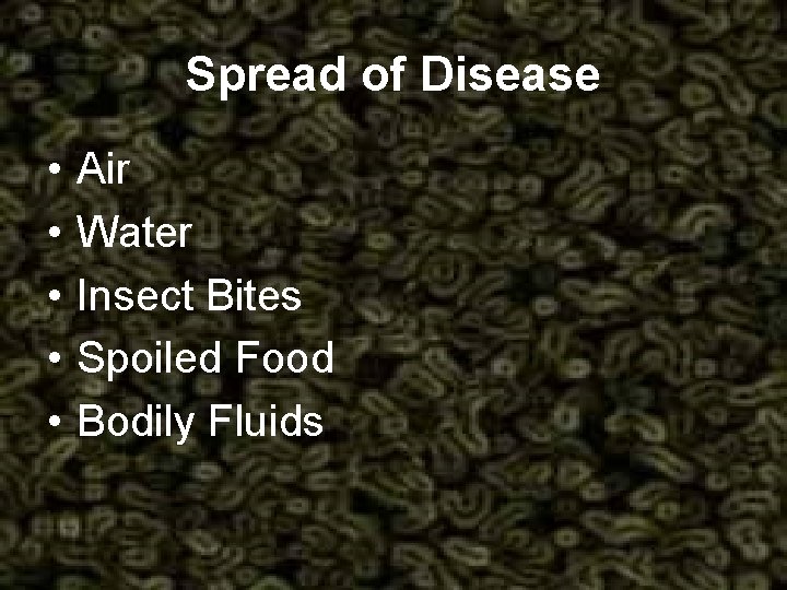 Spread of Disease • • • Air Water Insect Bites Spoiled Food Bodily Fluids