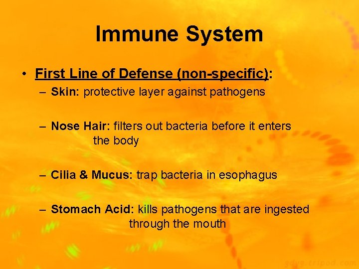 Immune System • First Line of Defense (non-specific): – Skin: protective layer against pathogens
