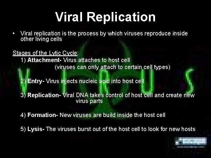 Viral Replication • Viral replication is the process by which viruses reproduce inside other