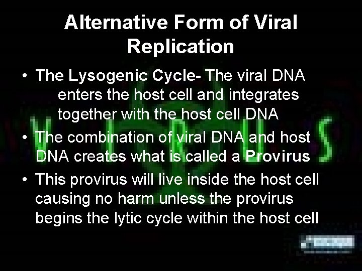 Alternative Form of Viral Replication • The Lysogenic Cycle- The viral DNA enters the