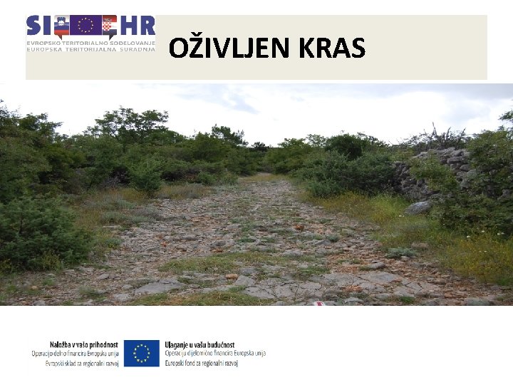 OŽIVLJEN KRAS OŽIVLJEN KRAS