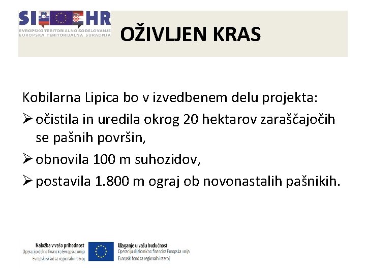 OŽIVLJEN KRAS Kobilarna Lipica bo v izvedbenem delu projekta: Ø očistila in uredila okrog OŽIVLJEN KRAS Kobilarna Lipica bo v izvedbenem delu projekta: Ø očistila in uredila okrog