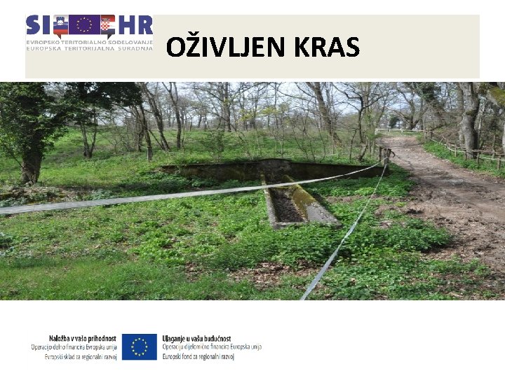 OŽIVLJEN KRAS • Cilj projekta Oživljen Kras je ohraniti raznolikosti kraških območij s pomočjo OŽIVLJEN KRAS • Cilj projekta Oživljen Kras je ohraniti raznolikosti kraških območij s pomočjo