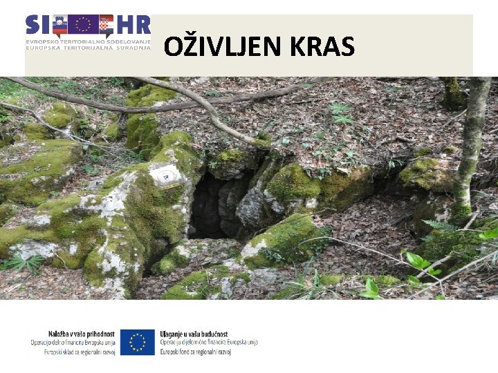 OŽIVLJEN KRAS • Cilj projekta Oživljen Kras je ohraniti raznolikosti kraških območij s pomočjo OŽIVLJEN KRAS • Cilj projekta Oživljen Kras je ohraniti raznolikosti kraških območij s pomočjo