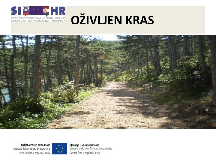 OŽIVLJEN KRAS Občina Vrbnik načrtuje: Ø revitalizacijo in renaturizacijo tradicionalne poti od Vrbnika do OŽIVLJEN KRAS Občina Vrbnik načrtuje: Ø revitalizacijo in renaturizacijo tradicionalne poti od Vrbnika do