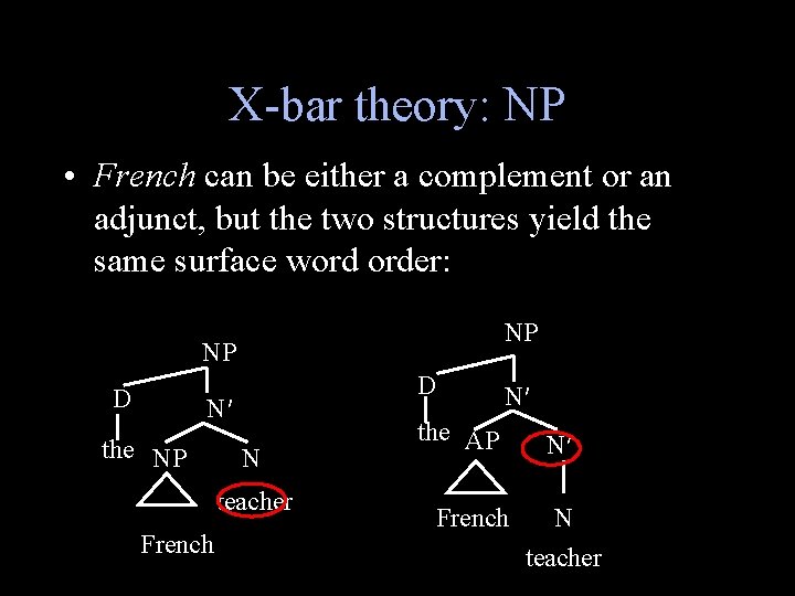 X-bar theory: NP • French can be either a complement or an adjunct, but