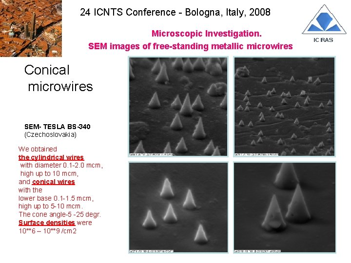 24 ICNTS Conference - Bologna, Italy, 2008 Microscopic Investigation. SEM images of free-standing metallic