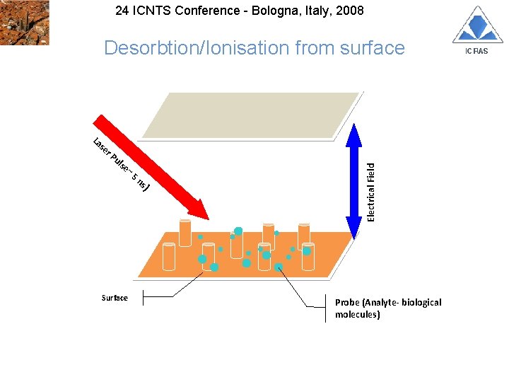 24 ICNTS Conference - Bologna, Italy, 2008 La se r. P ul se ~5