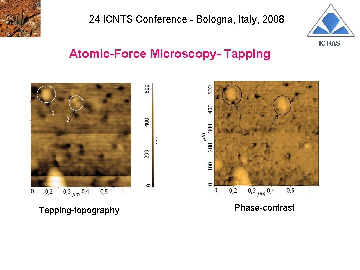 24 ICNTS Conference - Bologna, Italy, 2008 Atomic-Force Microscopy- Tapping-topography Phase-contrast 