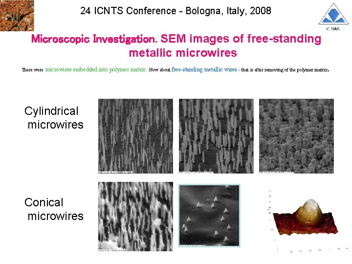 24 ICNTS Conference - Bologna, Italy, 2008 Microscopic Investigation. SEM images of free-standing metallic