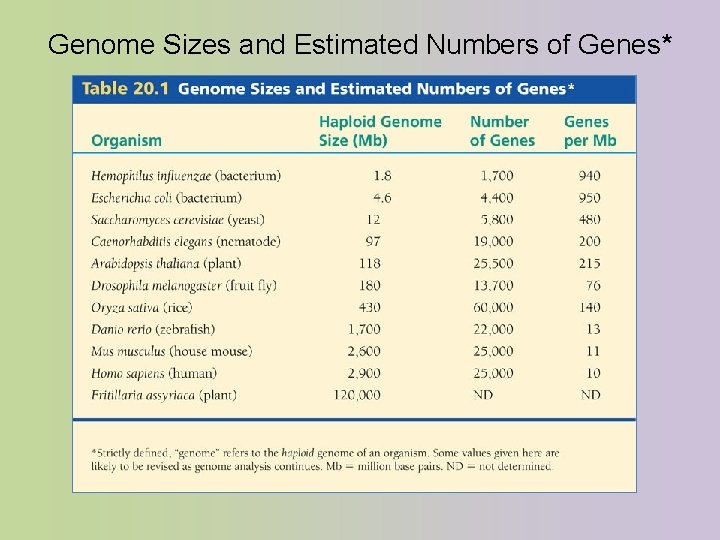 Genome Sizes and Estimated Numbers of Genes* 