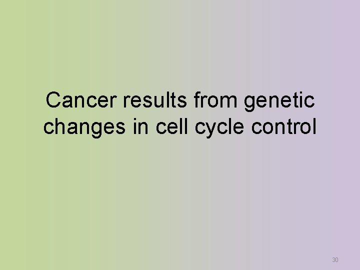 Cancer results from genetic changes in cell cycle control 30 