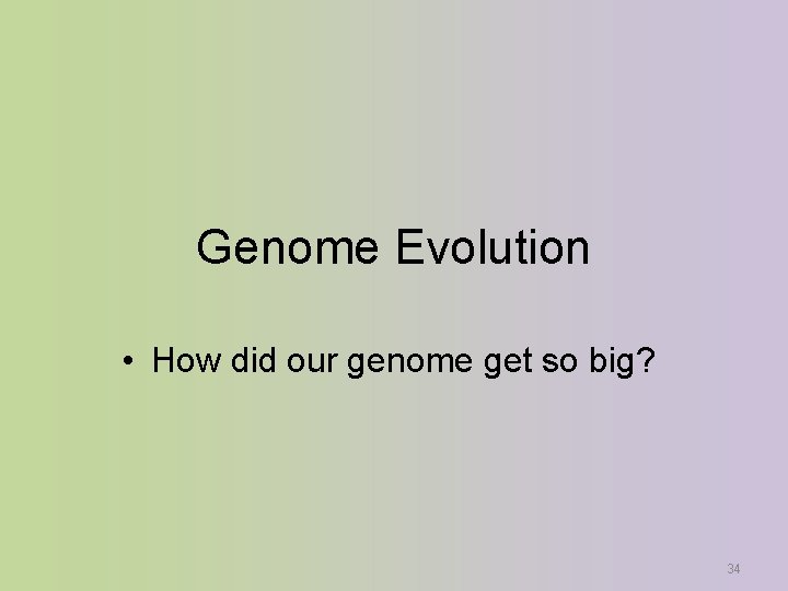 Genome Evolution • How did our genome get so big? 34 