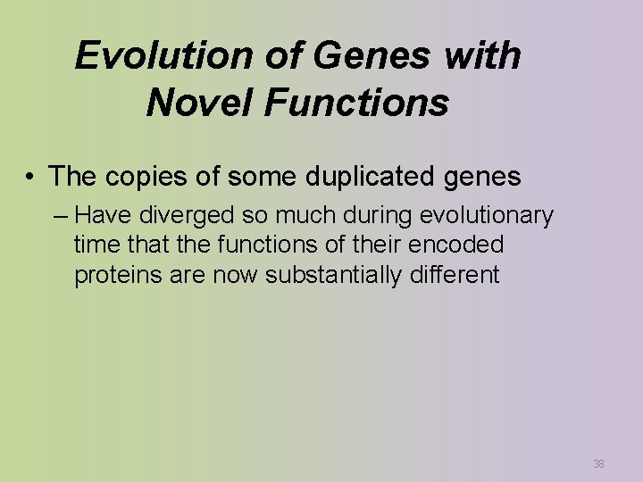 Evolution of Genes with Novel Functions • The copies of some duplicated genes –